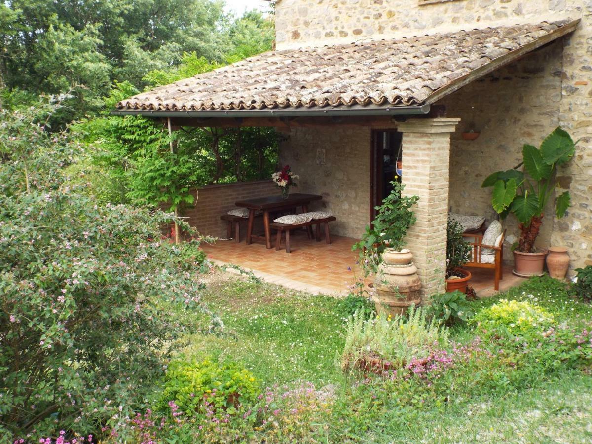 Agriturismo Frallarenza Ficulle Exterior photo