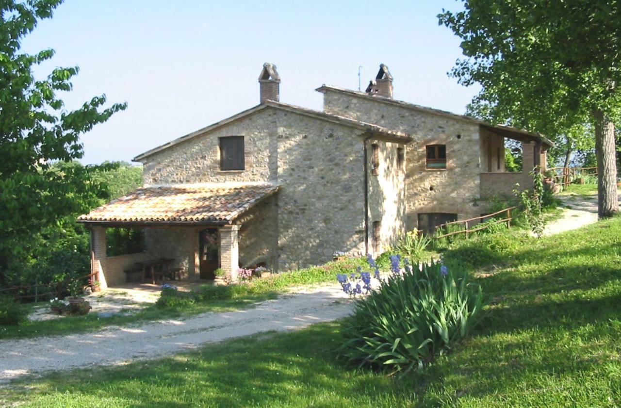 Agriturismo Frallarenza Ficulle Exterior photo