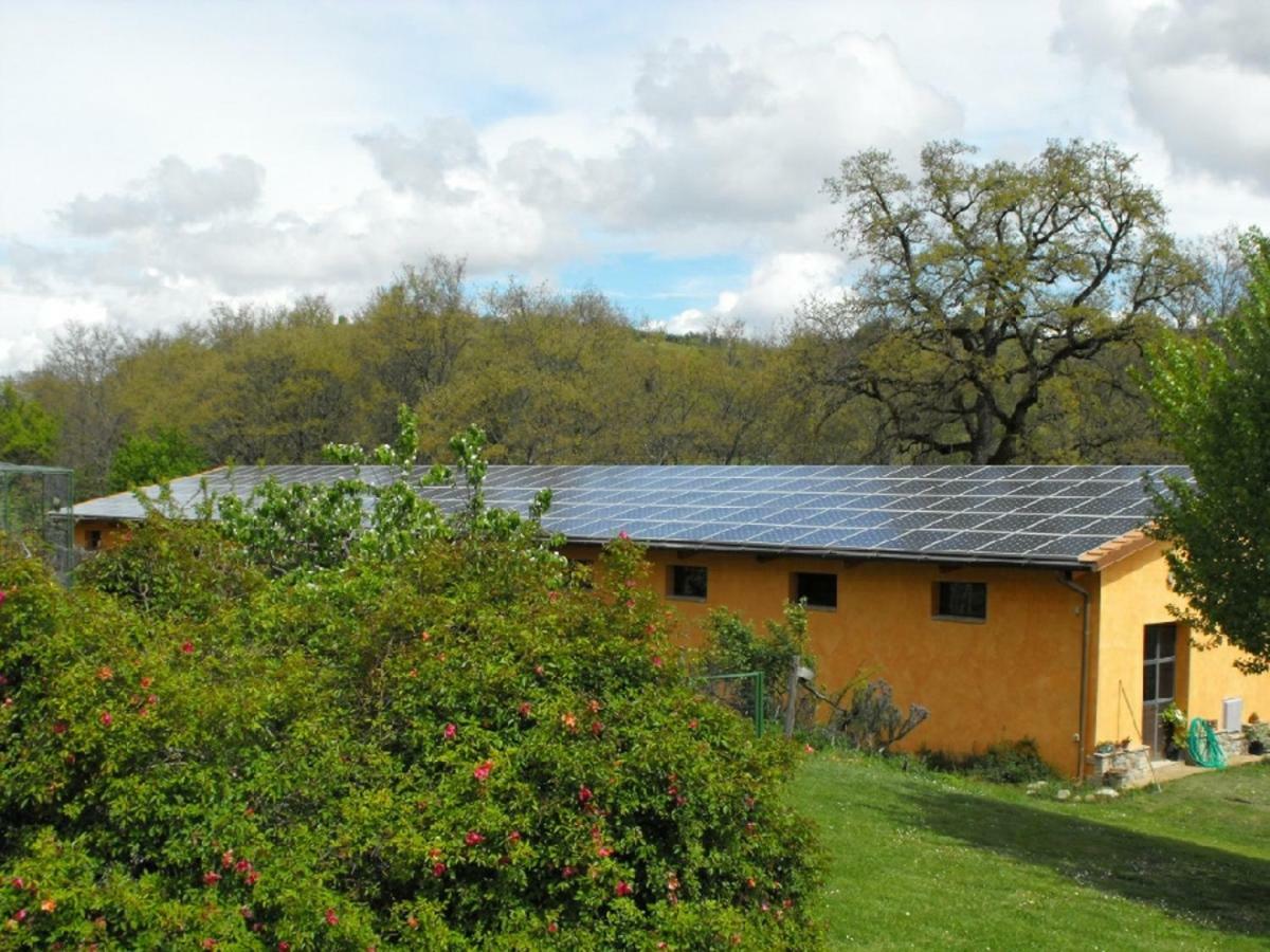 Agriturismo Frallarenza Ficulle Exterior photo