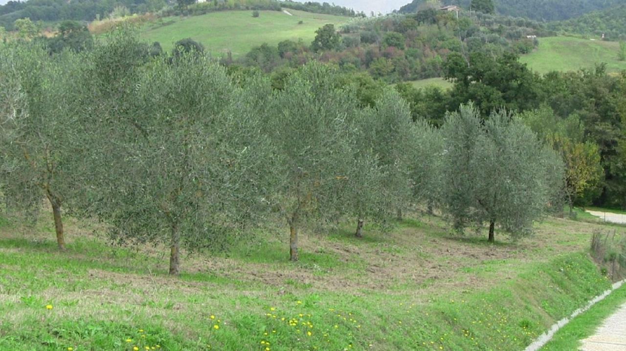 Agriturismo Frallarenza Ficulle Exterior photo