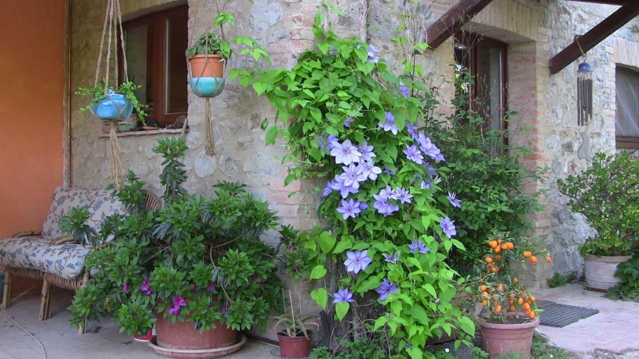 Agriturismo Frallarenza Ficulle Exterior photo